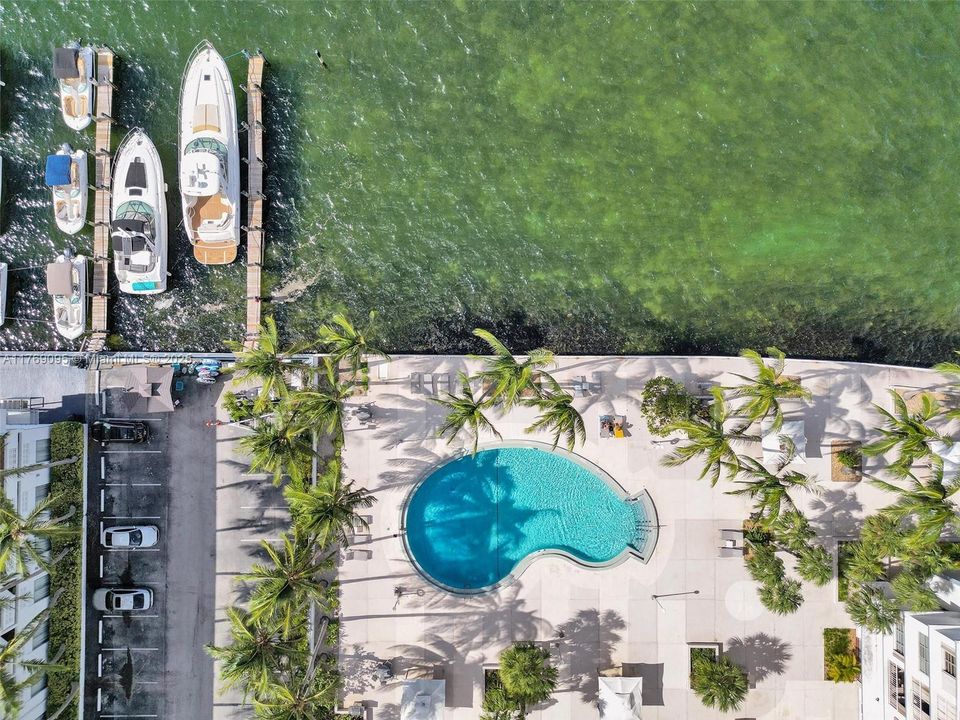 最近租的: $2,495 (1 贝兹, 1 浴室, 940 平方英尺)