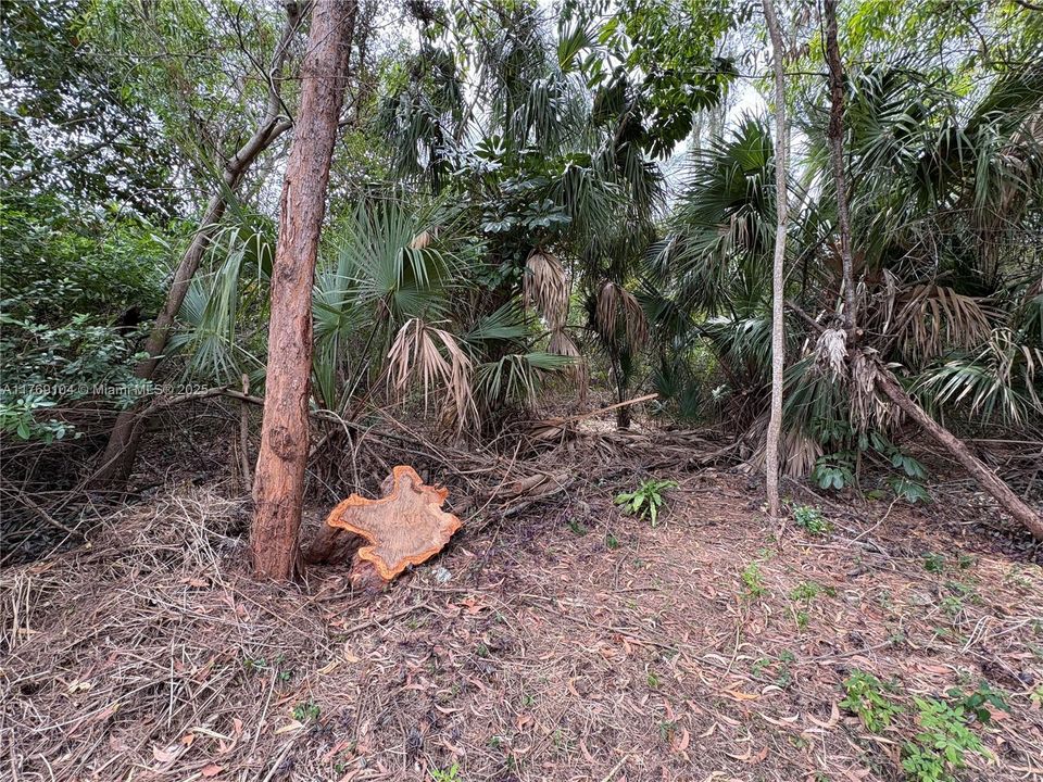 For Sale: $1,000,000 (1.70 acres)