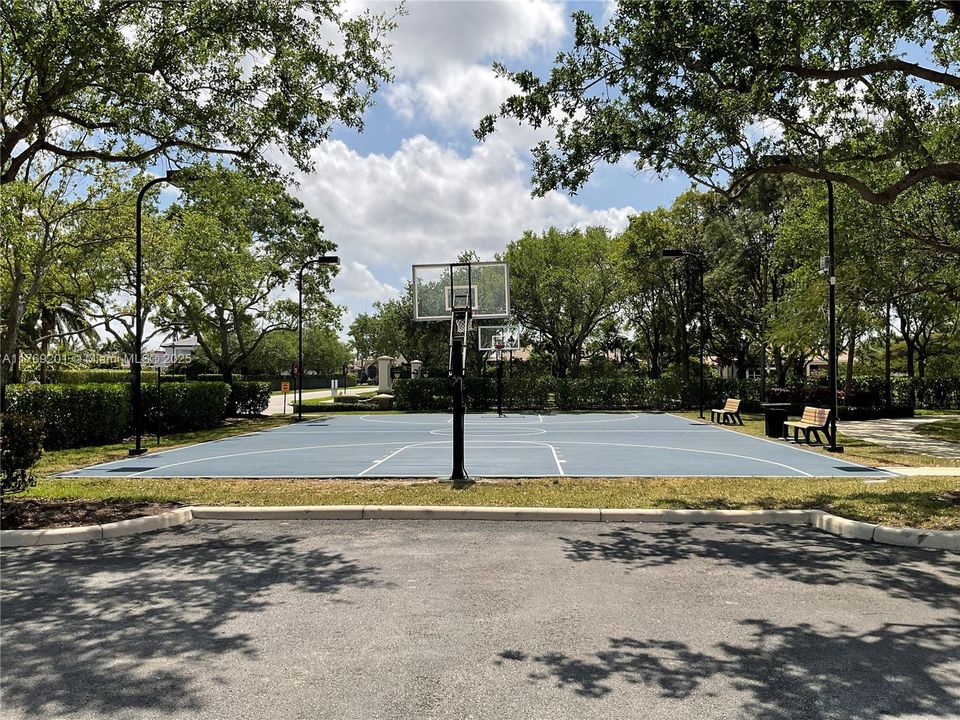 Basketball Court