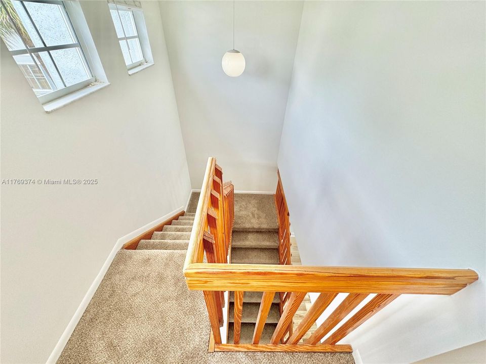 Stairway graced with plenty of natural lighting and new carpet.