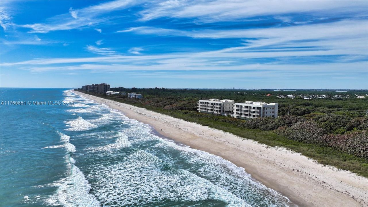 待售: $1,450,000 (2 贝兹, 2 浴室, 1534 平方英尺)