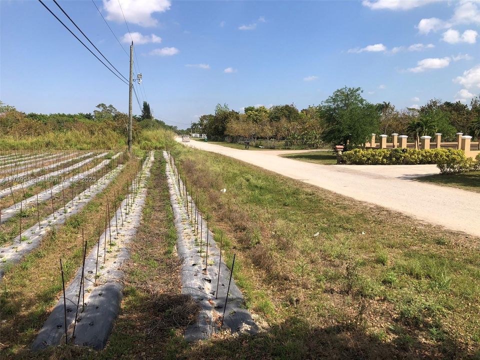 For Sale: $900,000 (1.25 acres)