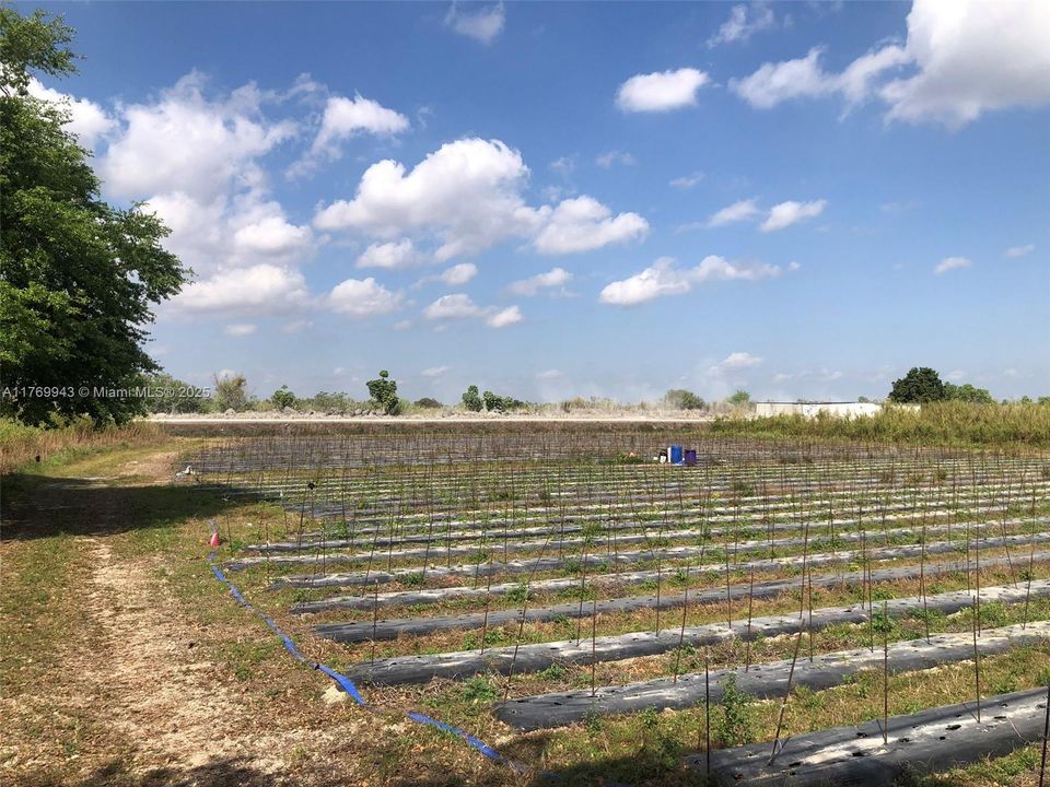 For Sale: $900,000 (1.25 acres)