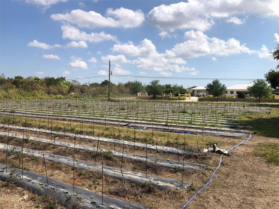 For Sale: $900,000 (1.25 acres)