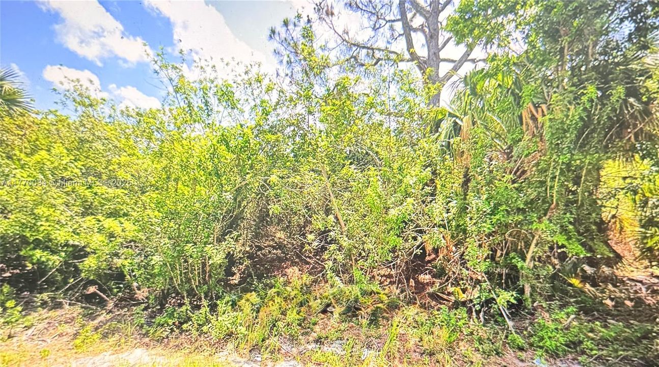 For Sale: $100,000 (0.48 acres)