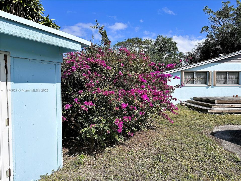 Vendido Recientemente: $450,000 (3 camas, 1 baños, 1165 Pies cuadrados)