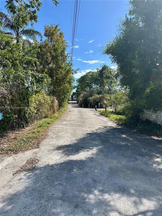 Driveway to the street from the property