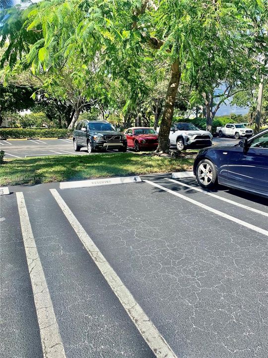 出租: $4,000 (2 贝兹, 2 浴室, 1211 平方英尺)