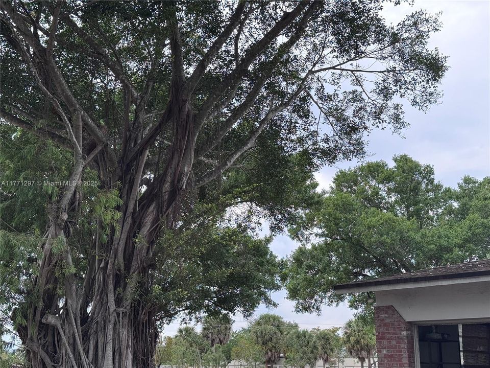 Recently Sold: $419,000 (4 beds, 2 baths, 2114 Square Feet)