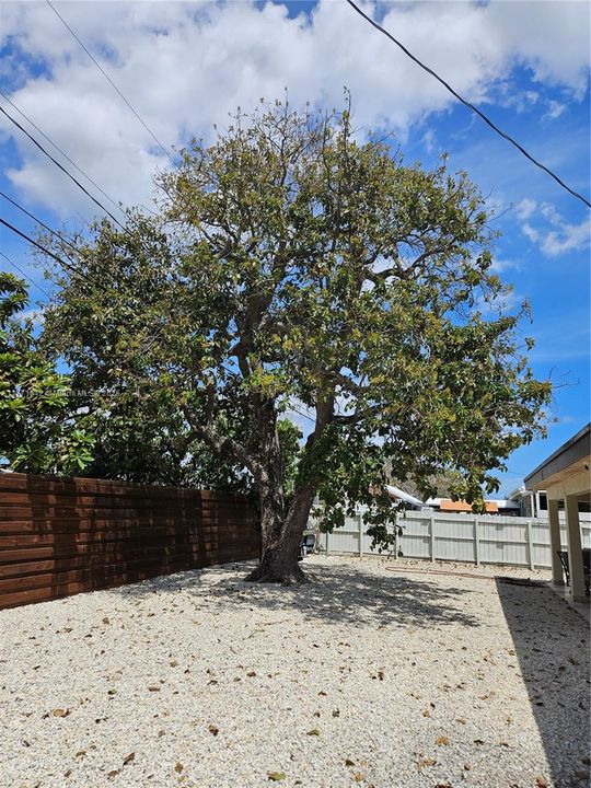 最近售出: $639,000 (5 贝兹, 2 浴室, 1484 平方英尺)