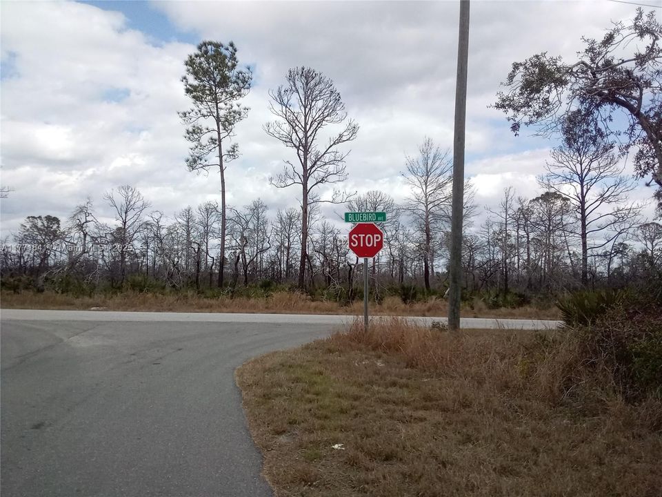 Recently Sold: $269,500 (3 beds, 2 baths, 1335 Square Feet)