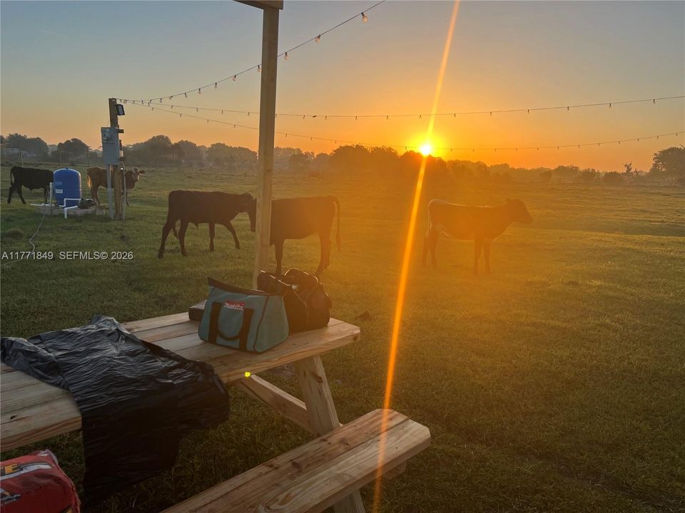 For Sale: $147,000 (0 beds, 0 baths, 0 Square Feet)