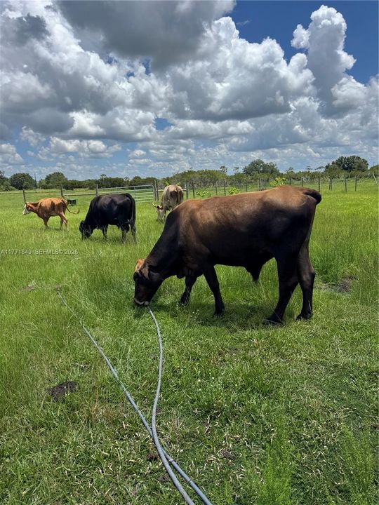 For Sale: $147,000 (0 beds, 0 baths, 0 Square Feet)