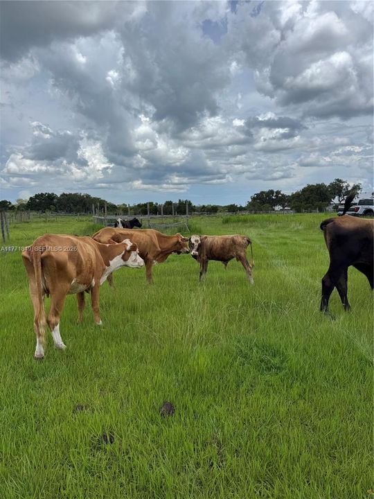 For Sale: $147,000 (0 beds, 0 baths, 0 Square Feet)