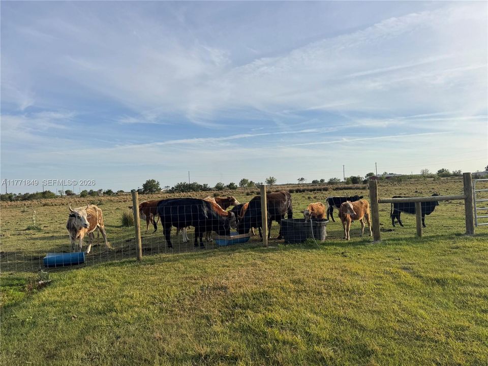 For Sale: $147,000 (0 beds, 0 baths, 0 Square Feet)