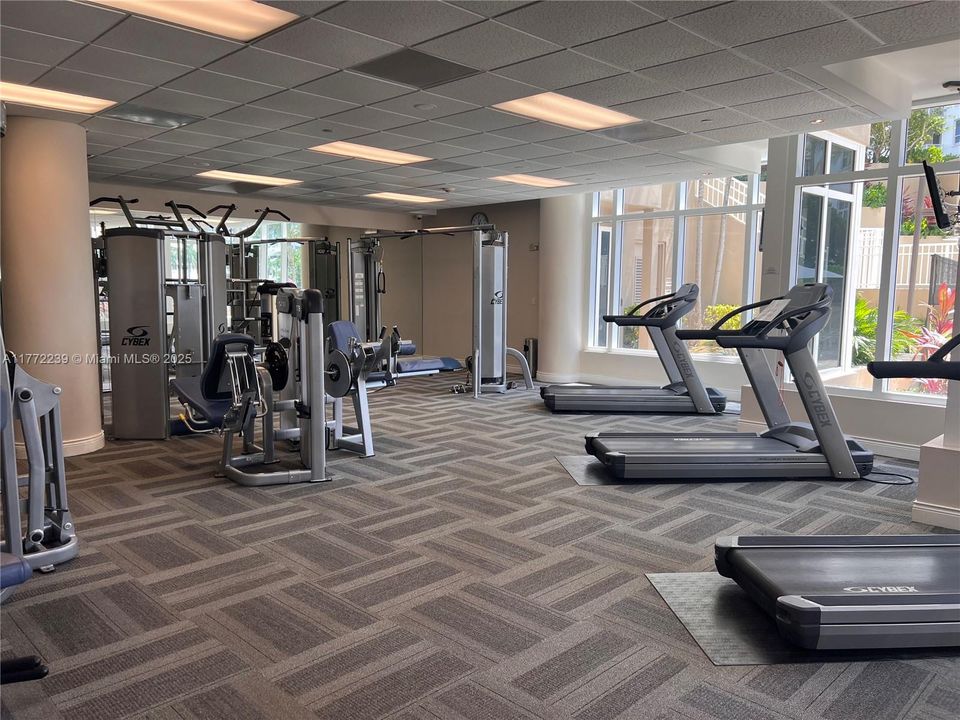 Recientemente alquilado: $3,500 (1 camas, 1 baños, 878 Pies cuadrados)