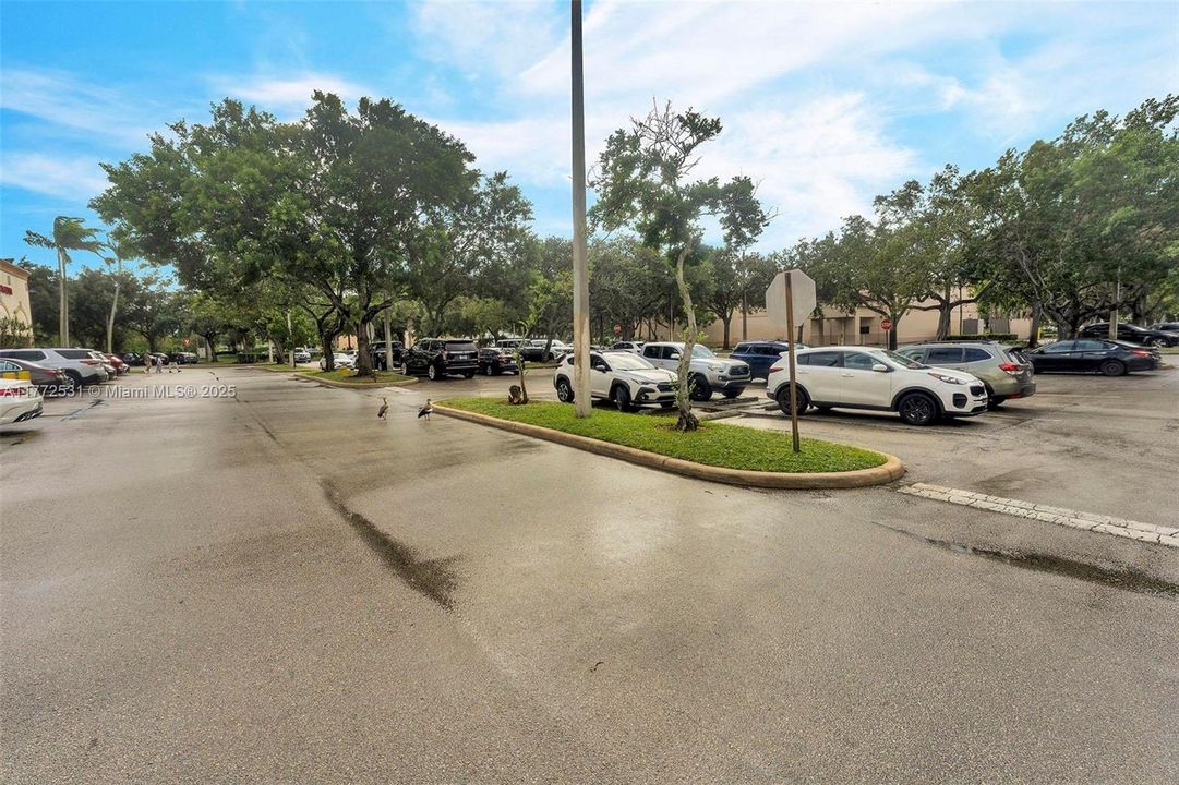 Recently Sold: $525,000 (0 beds, 0 baths, 0 Square Feet)