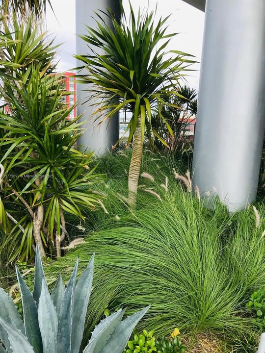 Recently Rented: $4,000 (2 beds, 2 baths, 1055 Square Feet)