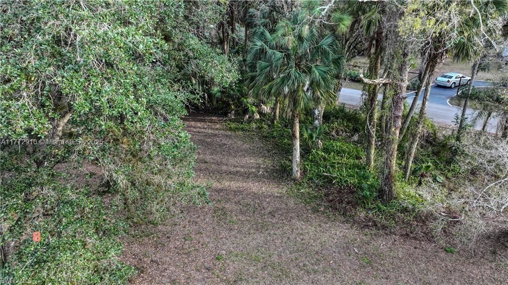 Belmont St, LaBelle, FL 33935