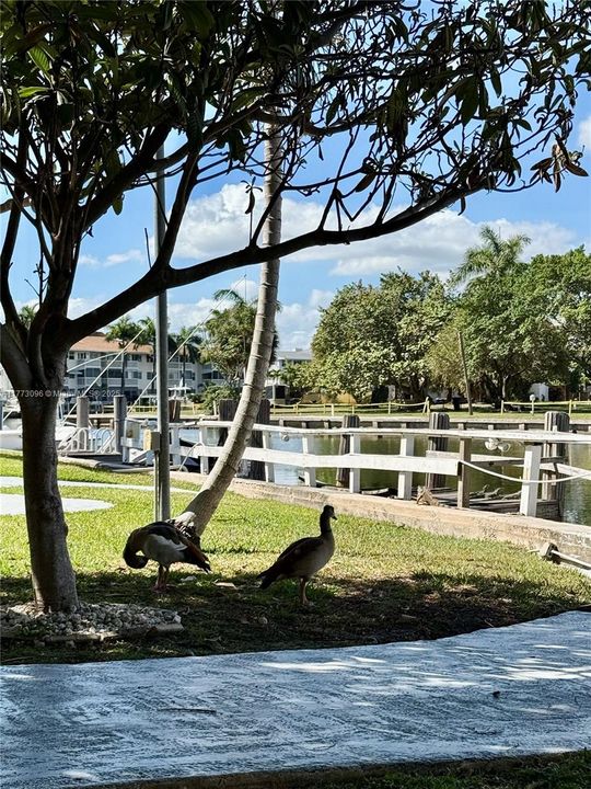 最近租的: $2,150 (2 贝兹, 2 浴室, 840 平方英尺)