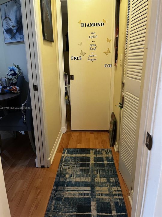 Hallway from Bathroom to Bedroom