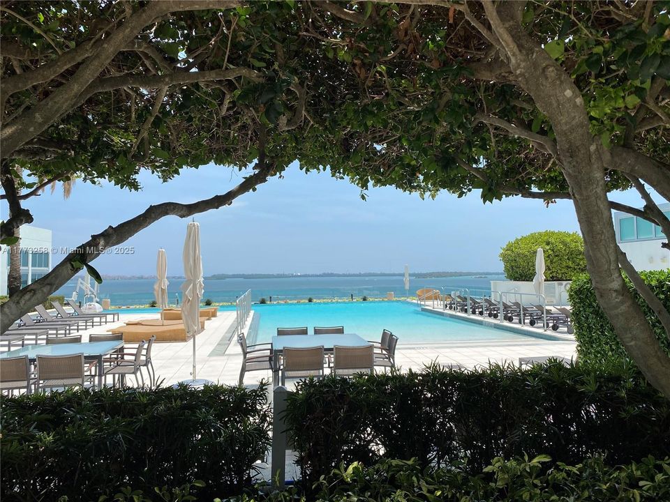 Недавно арендовано: $7,300 (2 спален, 2 ванн, 1815 Квадратных фут)