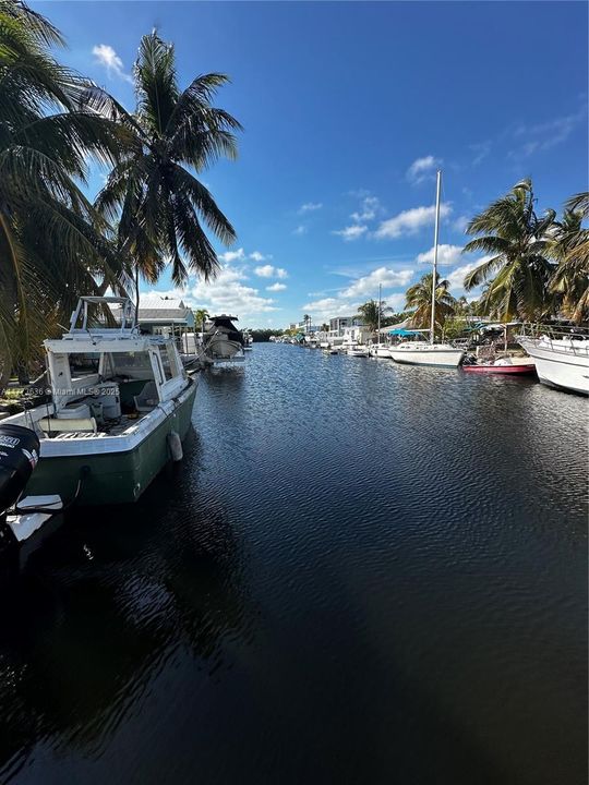 Vendido Recientemente: $1,099,999 (3 camas, 2 baños, 1512 Pies cuadrados)