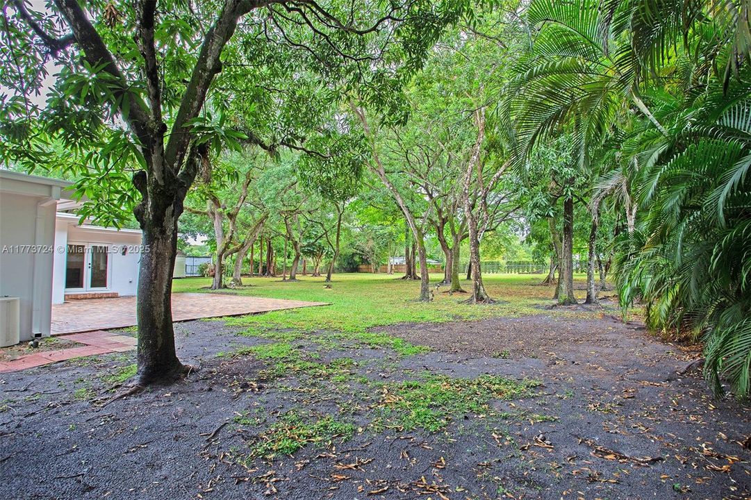 Recently Rented: $6,700 (3 beds, 2 baths, 2172 Square Feet)