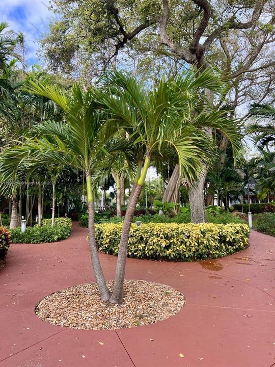 Recently Sold: $285,000 (1 beds, 1 baths, 775 Square Feet)