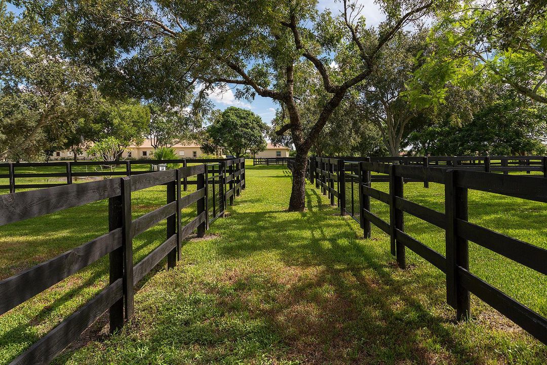 16_Paddocks3