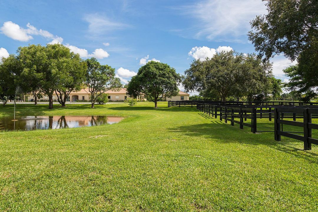 Paddocks7