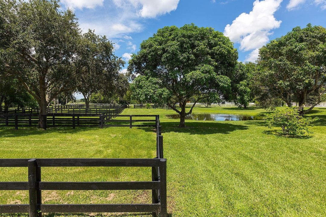 Paddocks - Copy
