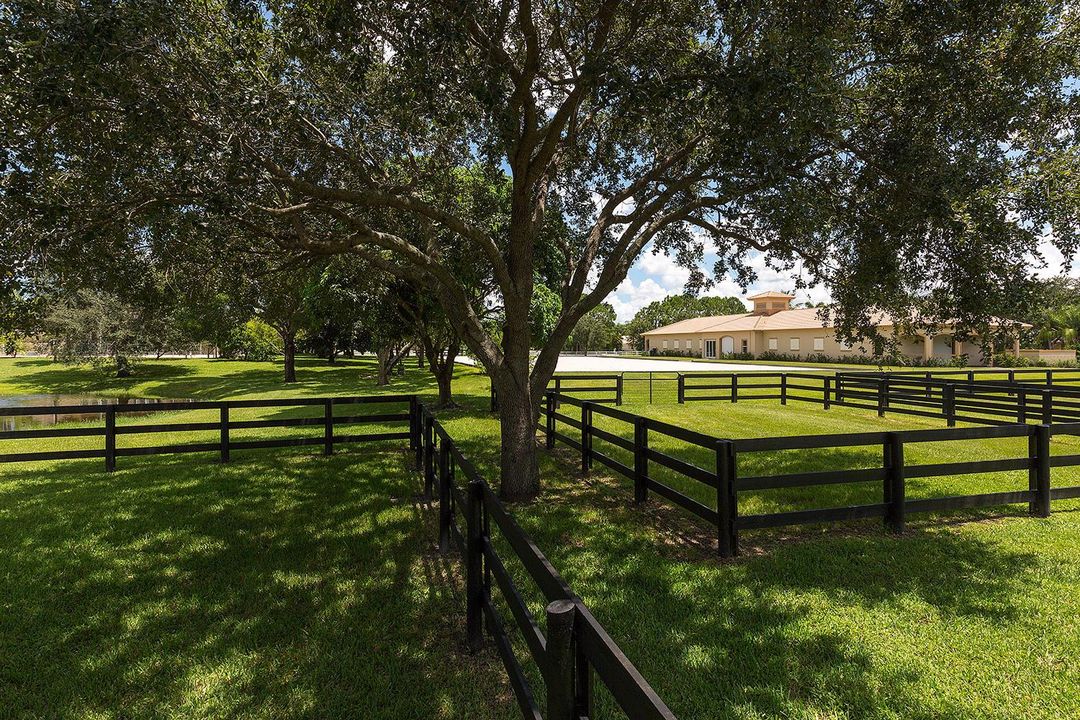 17_Paddocks10 - Copy