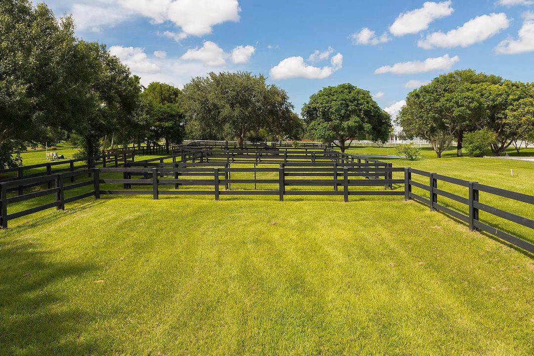 24_Paddocks6