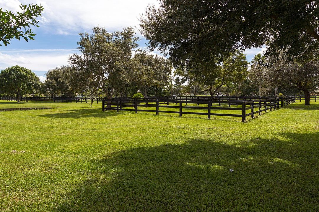 Paddocks - Copy
