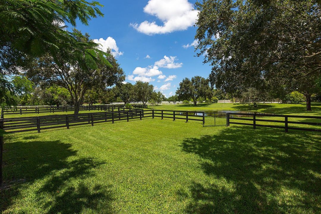Paddocks8 - Copy