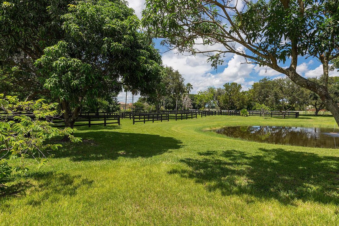 PADDOCKS