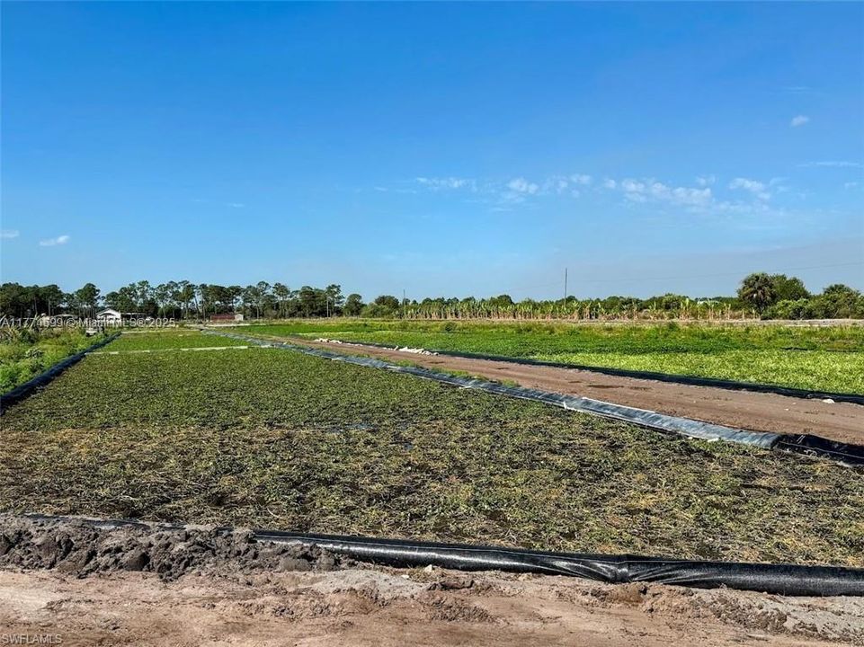 2521 CHRISTOPHER LNClewiston, FL 33440