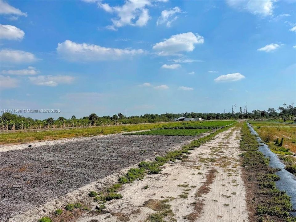 2521 CHRISTOPHER LNClewiston, FL 33440