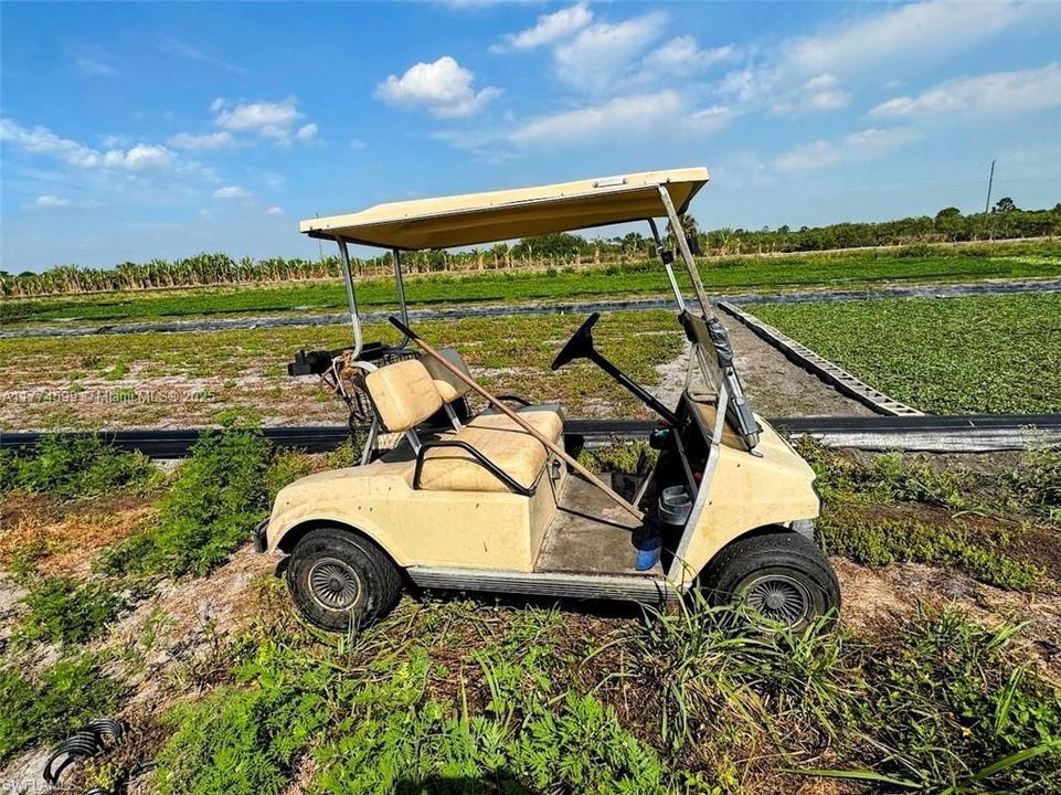 2521 CHRISTOPHER LNClewiston, FL 33440