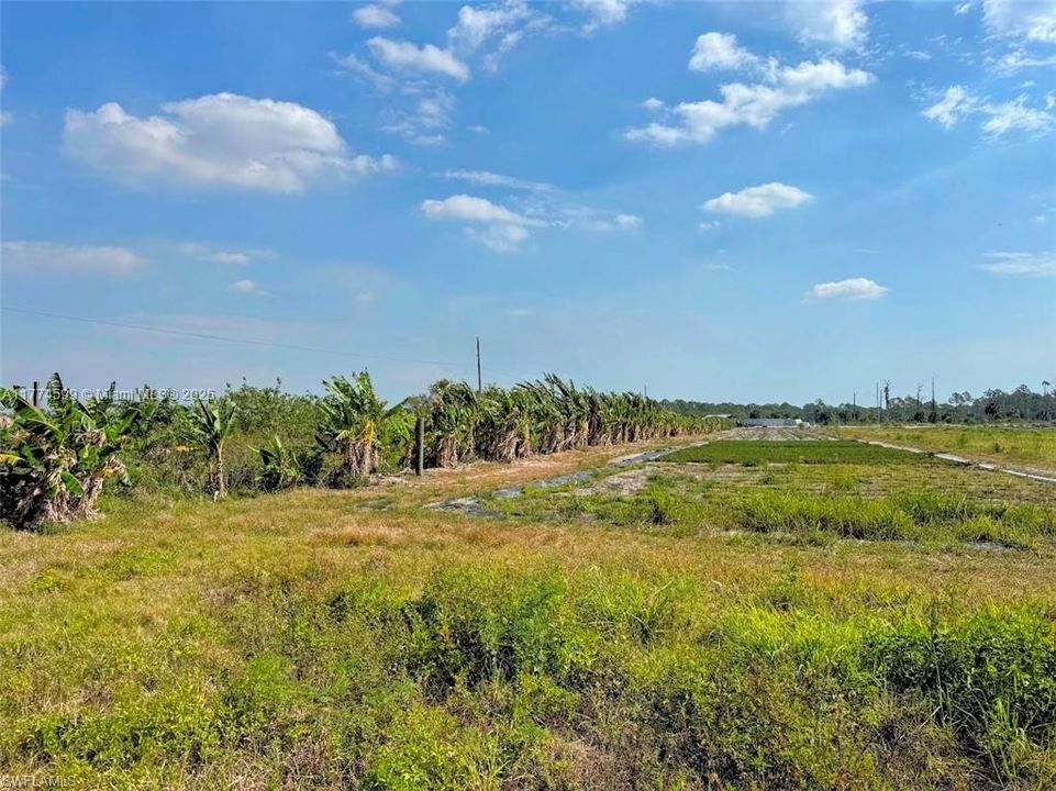 2521 CHRISTOPHER LNClewiston, FL 33440