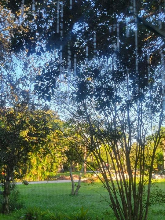 На продажу: $290,000 (3 спален, 2 ванн, 1400 Квадратных фут)