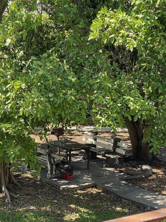 На продажу: $170,000 (1 спален, 1 ванн, 580 Квадратных фут)