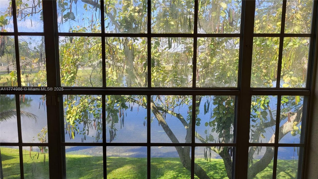 Water View from Living Room