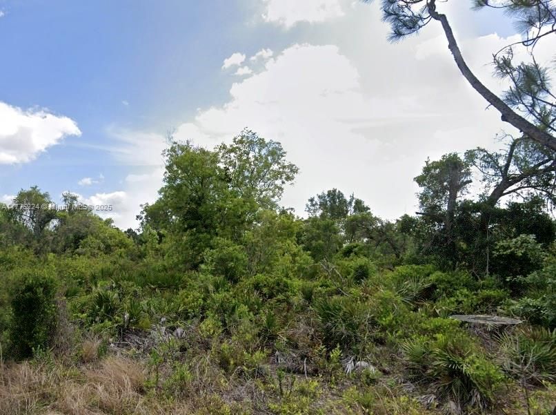 Recently Sold: $15,000 (0.31 acres)