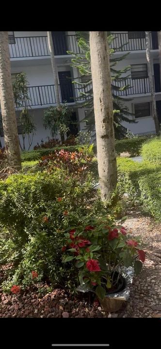 Под контрактом: $295,000 (2 спален, 2 ванн, 983 Квадратных фут)