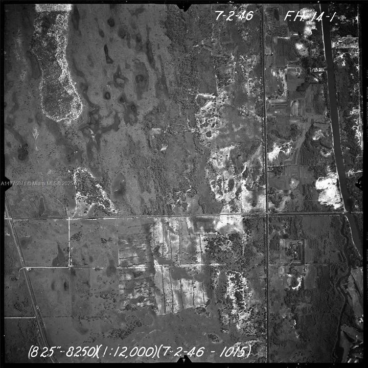 Pre 1946 mango orchard