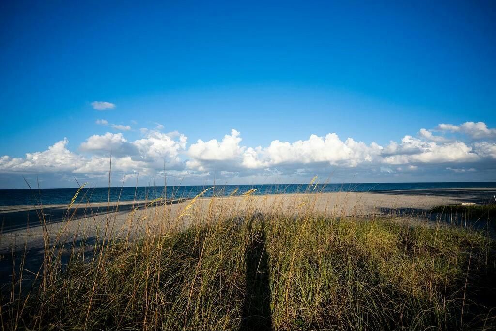 Beach Dune