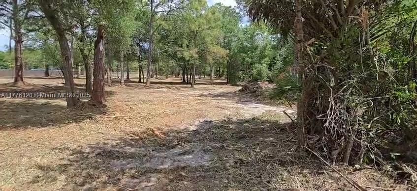 Recently Sold: $49,900 (1.25 acres)