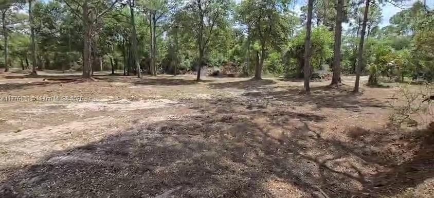 Recently Sold: $49,900 (1.25 acres)